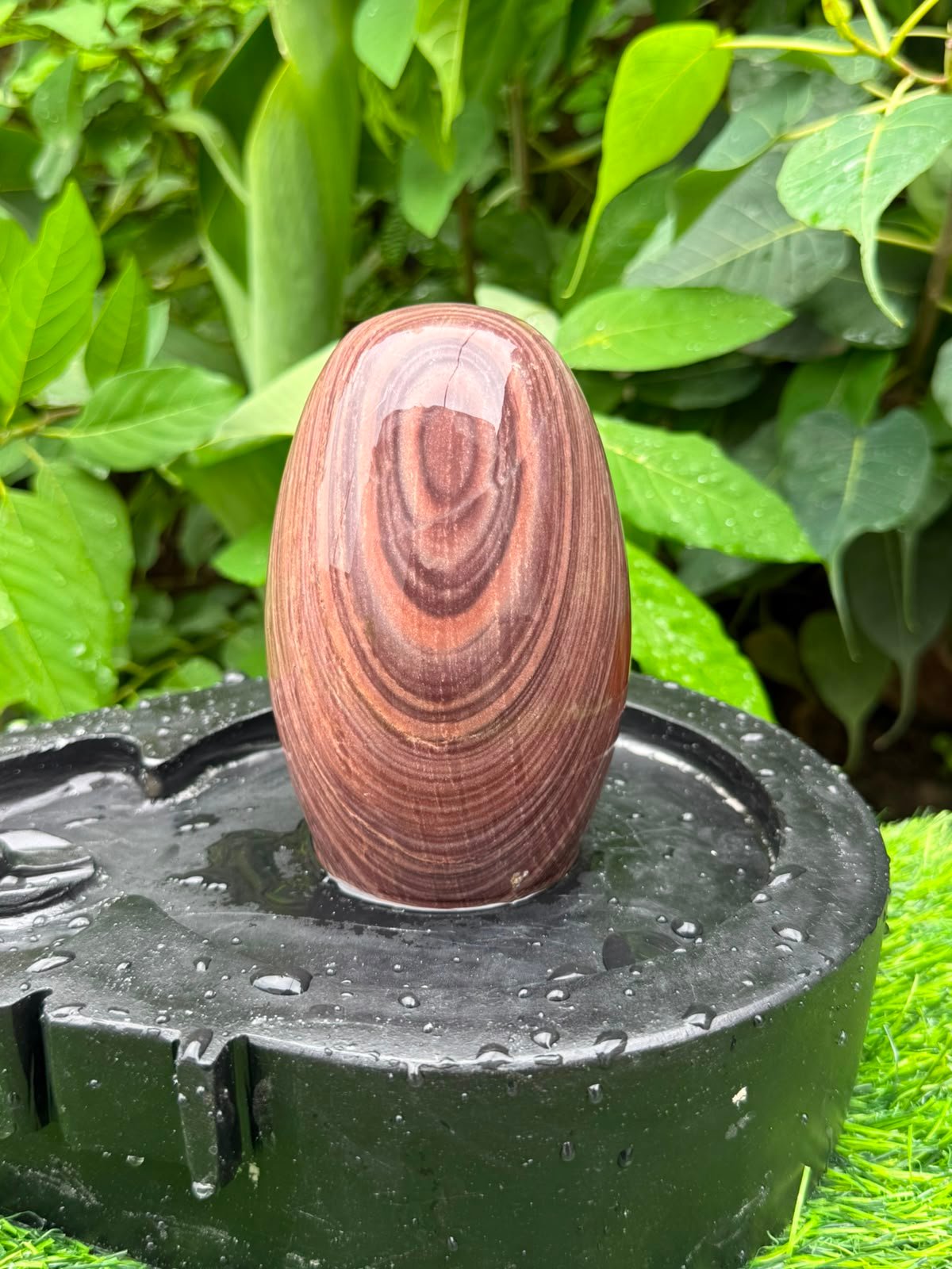 Polished Narmadeshwar Shivling ready for home pooja